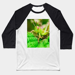 Young Grasshopper Macro Photography Baseball T-Shirt